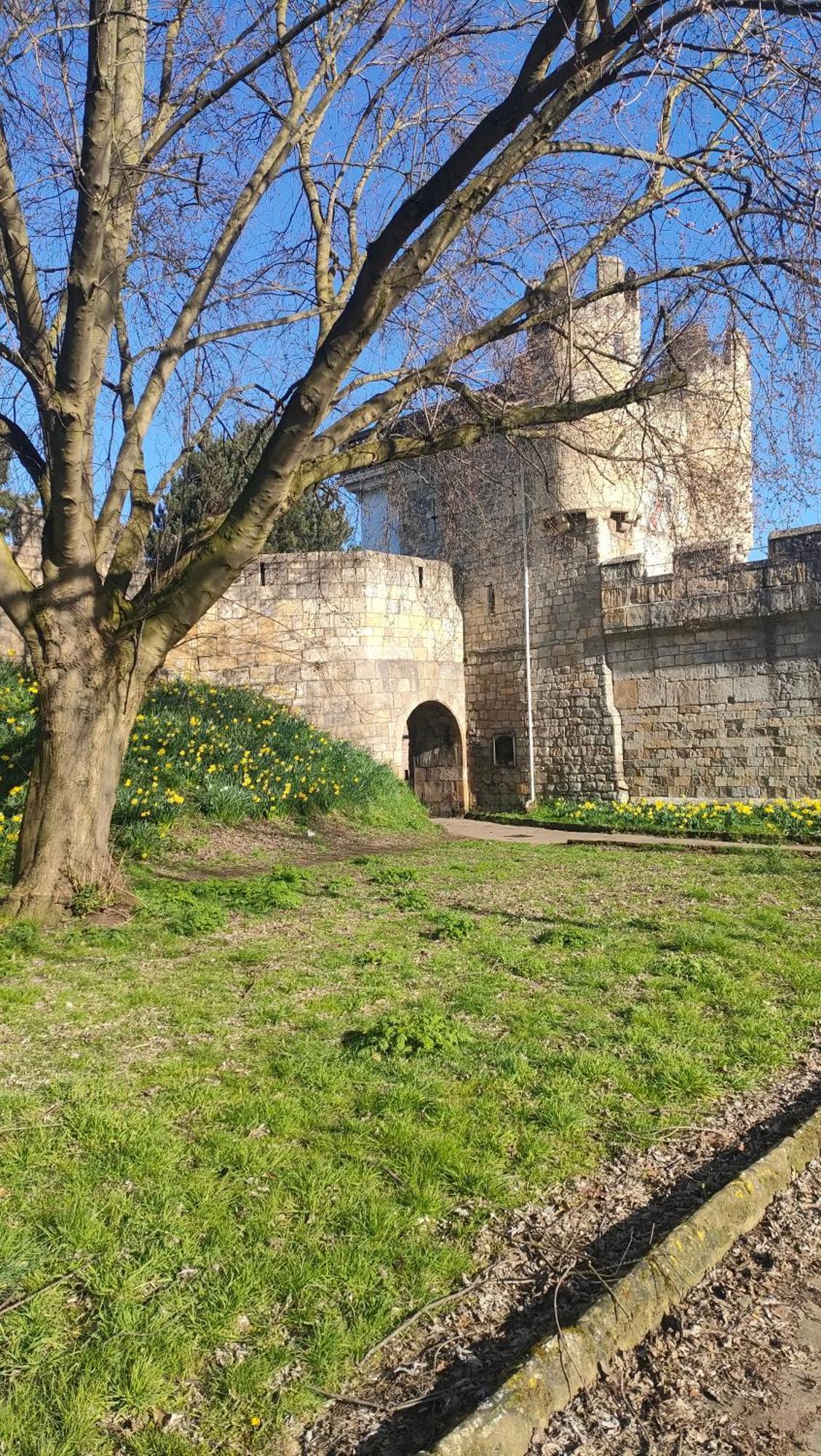 יורק Victorian Farrar Cottage מראה חיצוני תמונה